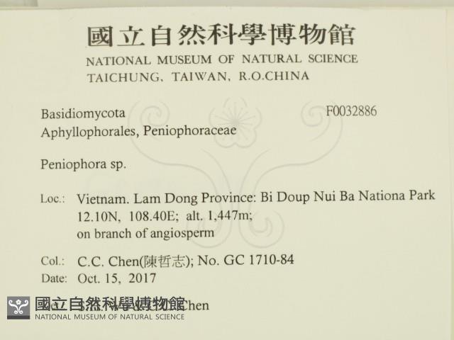 筍殼菌屬藏品圖，第2張