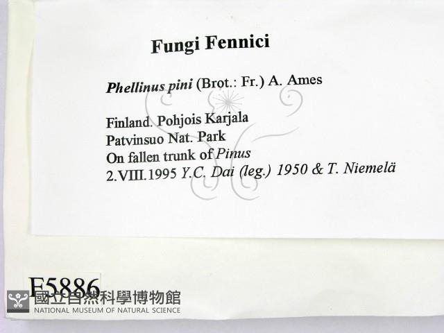 登錄號:F0005886藏品圖，第2張