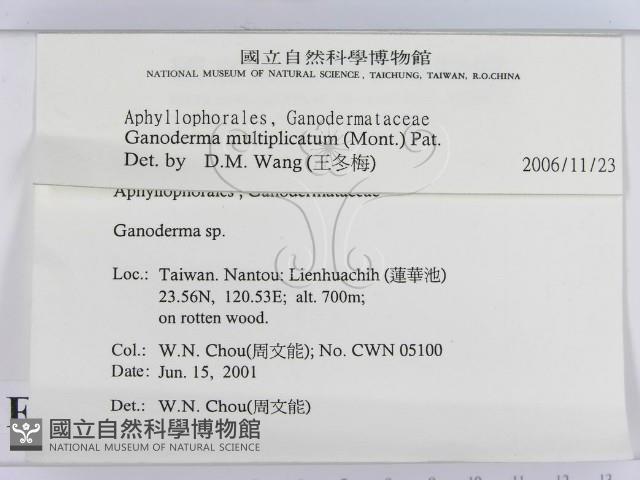 登錄號:F0015886藏品圖，第2張