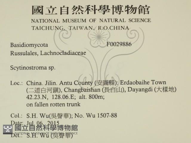 登錄號:F0029886藏品圖，第2張