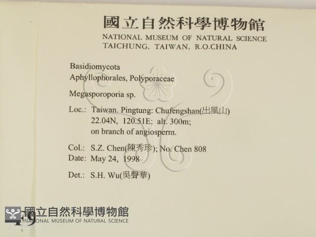 登錄號:F0009886藏品圖，第2張