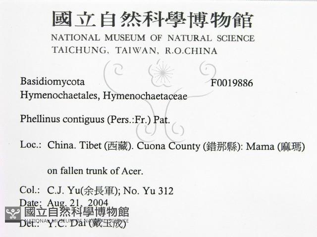 登錄號:F0019886藏品圖，第2張