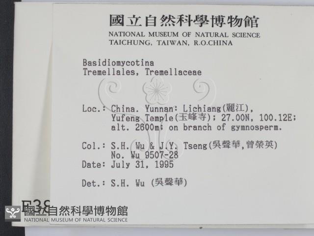 登錄號:F0003886藏品圖，第2張