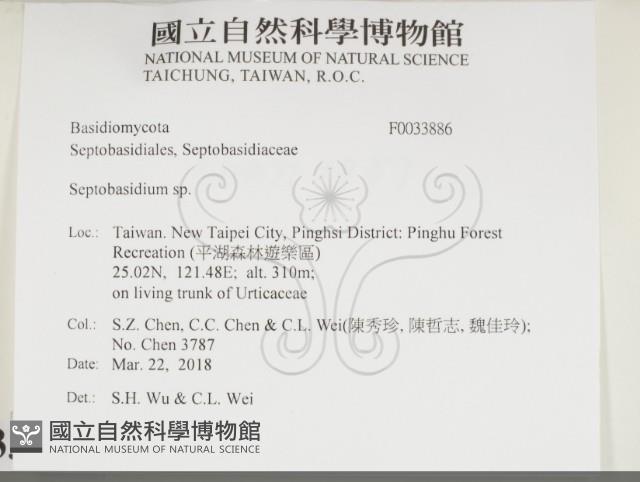 登錄號:F0033886藏品圖，第2張