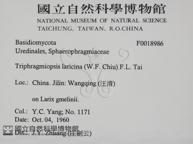 登錄號:F0018986藏品圖，第2張