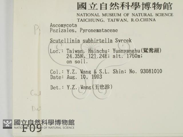登錄號:F0000986藏品圖，第2張