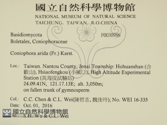 登錄號:F0030986藏品圖，第2張
