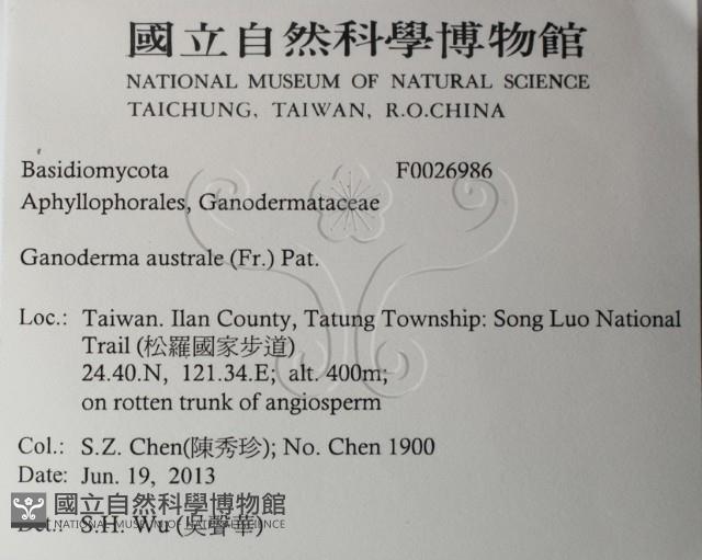 登錄號:F0026986藏品圖，第2張