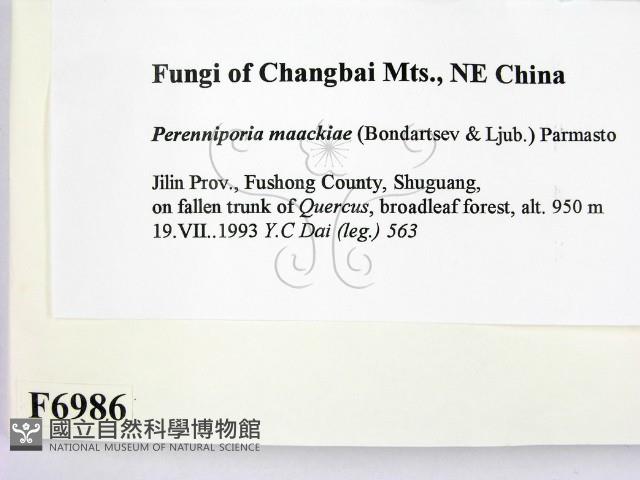 登錄號:F0006986藏品圖，第2張