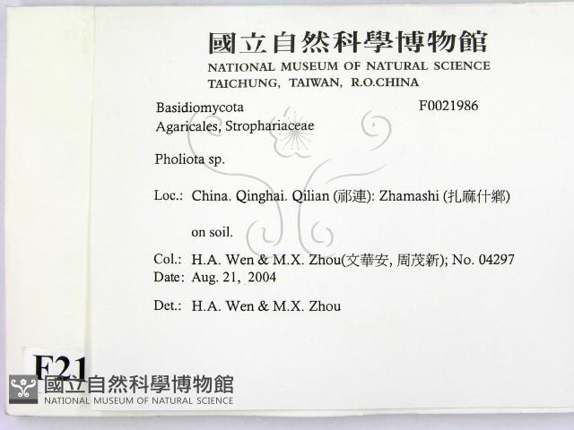 登錄號:F0021986藏品圖，第2張