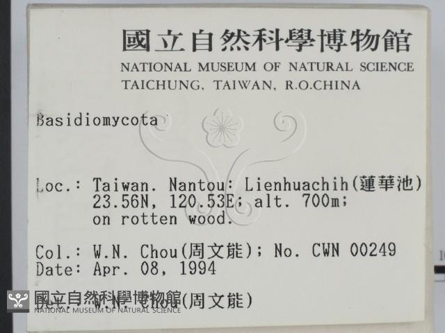 登錄號:F0001986藏品圖，第2張