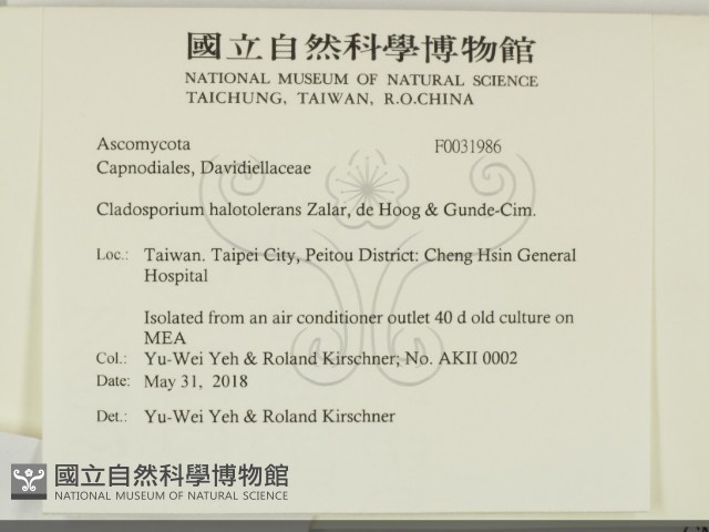 登錄號:F0031986藏品圖，第2張