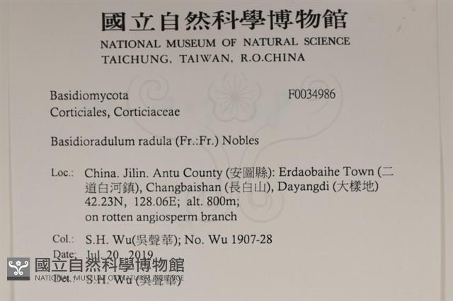 登錄號:F0034986藏品圖，第2張