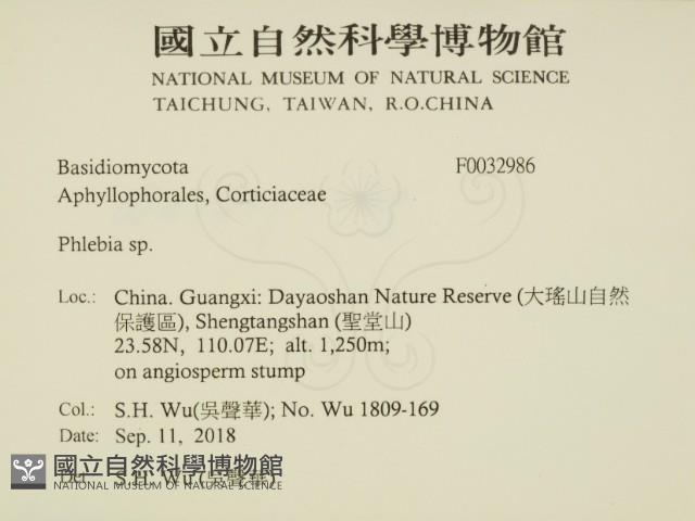 登錄號:F0032986藏品圖，第2張