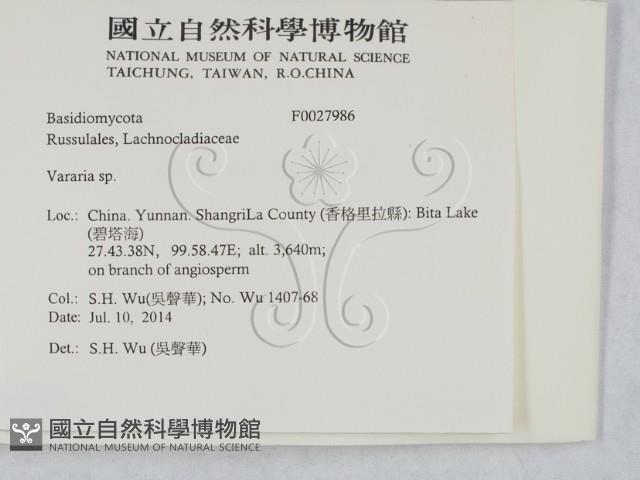 登錄號:F0027986藏品圖，第2張