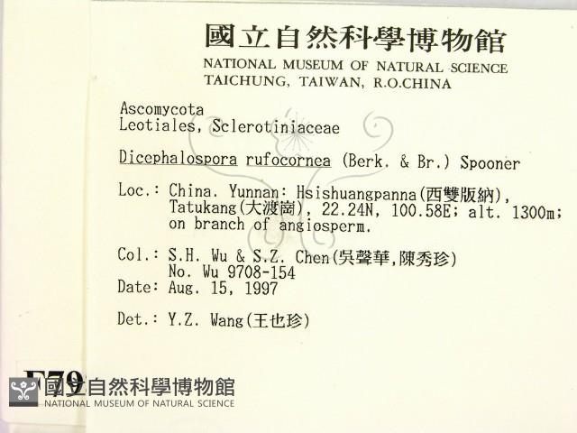 登錄號:F0007986藏品圖，第2張