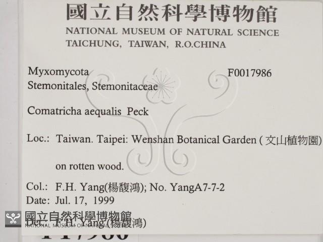 登錄號:F0017986藏品圖，第2張