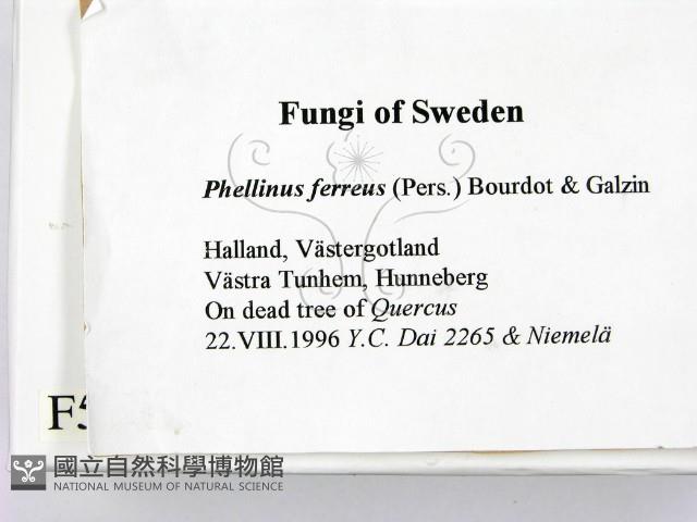 登錄號:F0005986藏品圖，第2張