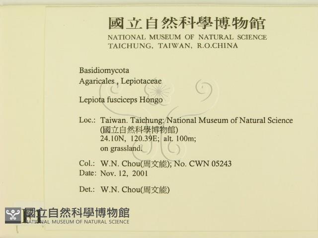 登錄號:F0015986藏品圖，第2張