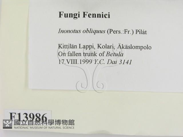 登錄號:F0013986藏品圖，第2張
