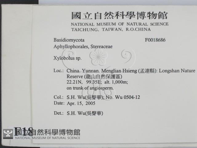 登錄號:F0018686藏品圖，第2張