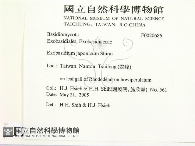 登錄號:F0020686藏品圖，第2張