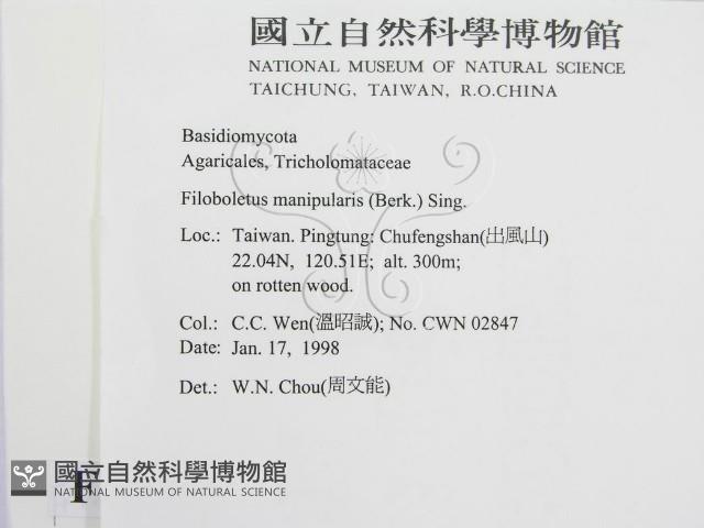 登錄號:F0010686藏品圖，第2張