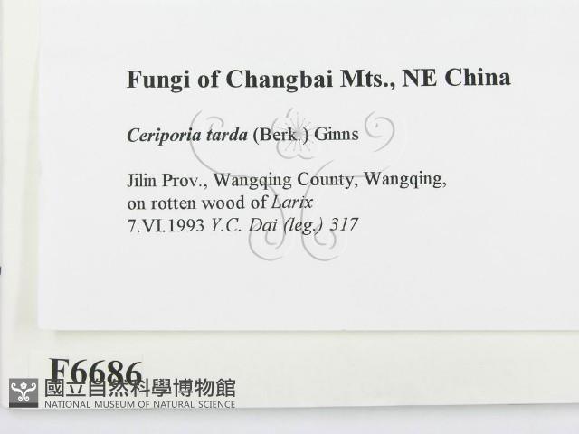 登錄號:F0006686藏品圖，第2張