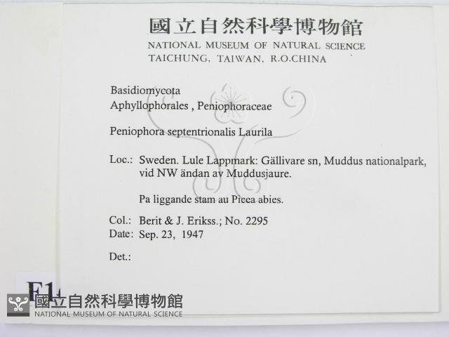 登錄號:F0016686藏品圖，第2張