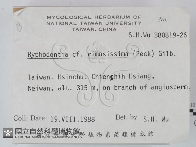 登錄號:F0021686藏品圖，第2張