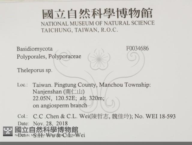 登錄號:F0034686藏品圖，第2張