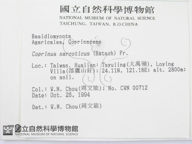 登錄號:F0002686藏品圖，第2張