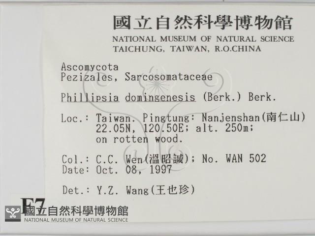 登錄號:F0007686藏品圖，第2張