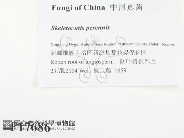 登錄號:F0017686藏品圖，第2張