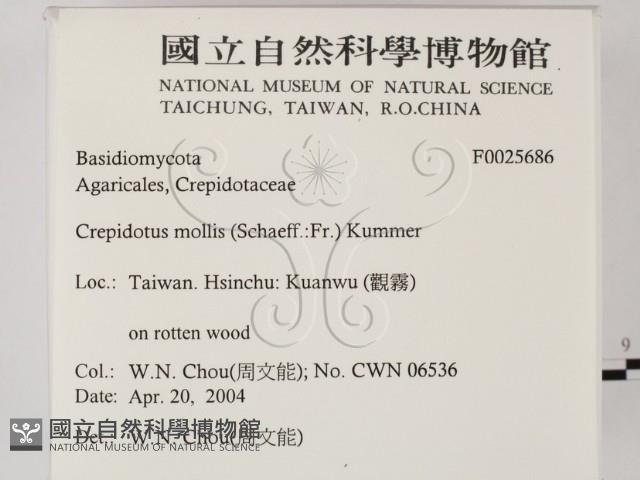 登錄號:F0025686藏品圖，第2張