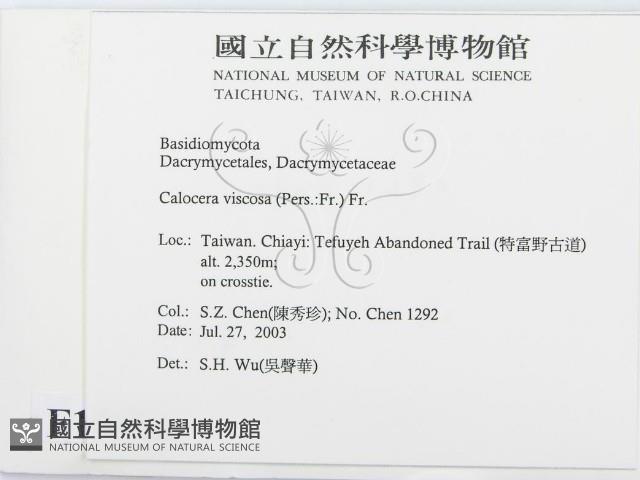 登錄號:F0015686藏品圖，第2張