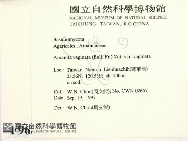 登錄號:F0009686藏品圖，第2張