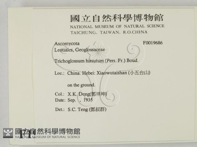 登錄號:F0019686藏品圖，第2張