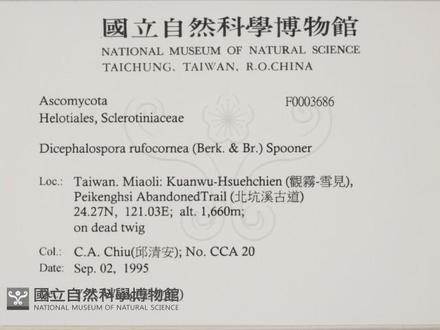 登錄號:F0003686藏品圖，第2張