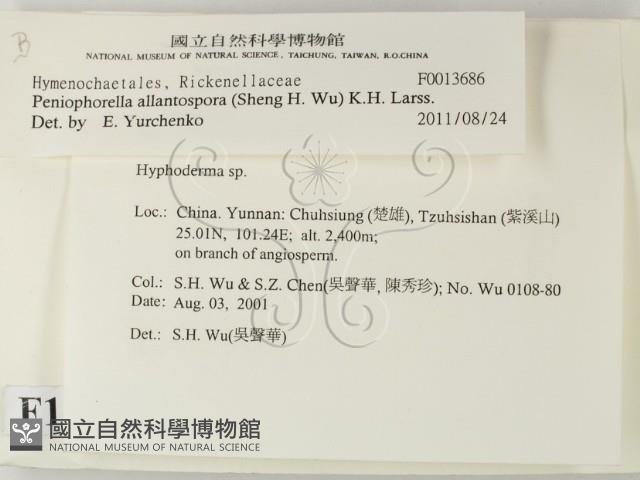 登錄號:F0013686藏品圖，第2張