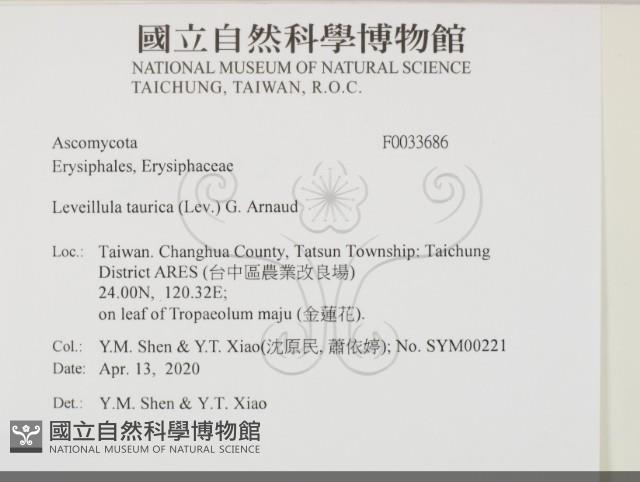 登錄號:F0033686藏品圖，第2張