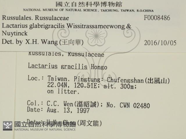 登錄號:F0008486藏品圖，第2張