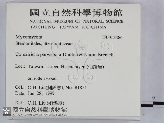 登錄號:F0018486藏品圖，第2張