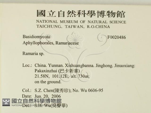登錄號:F0020486藏品圖，第2張