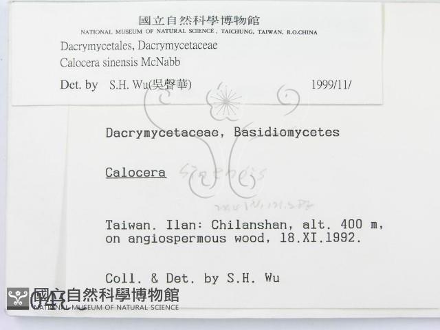 館號:F0000486藏品圖，第2張
