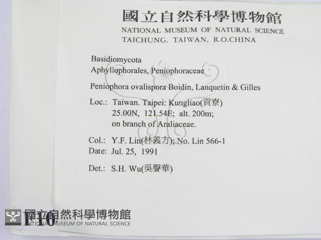 登錄號:F0010486藏品圖，第2張