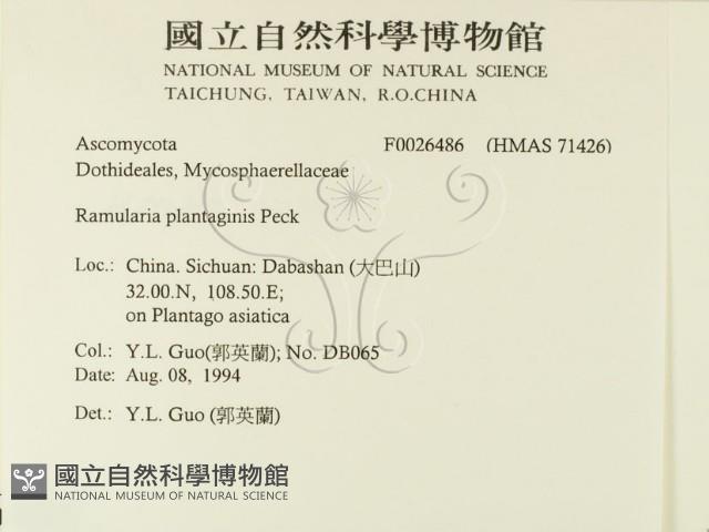 登錄號:F0026486藏品圖，第2張