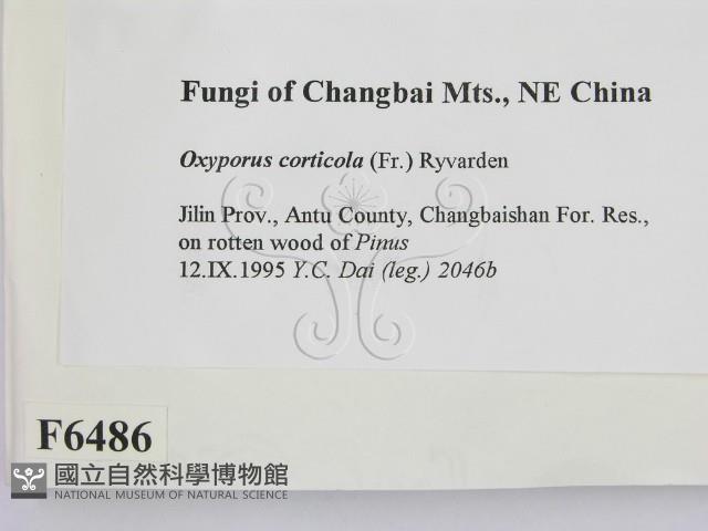 登錄號:F0006486藏品圖，第2張