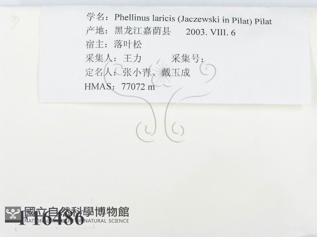 登錄號:F0016486藏品圖，第2張