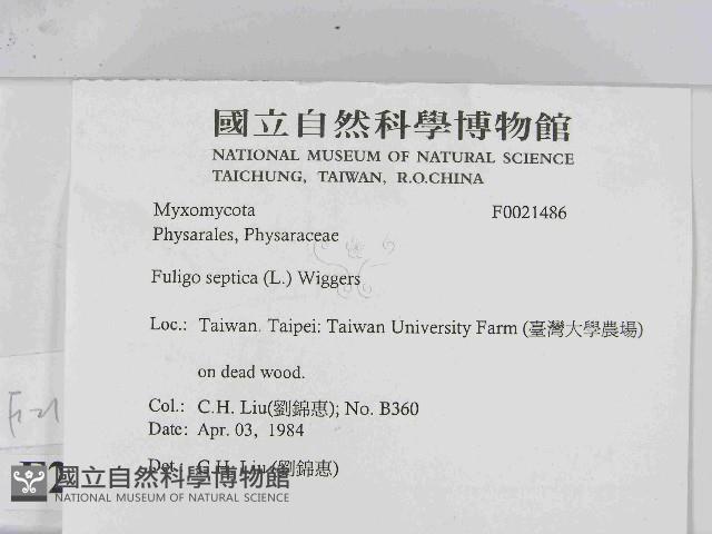 登錄號:F0021486藏品圖，第2張